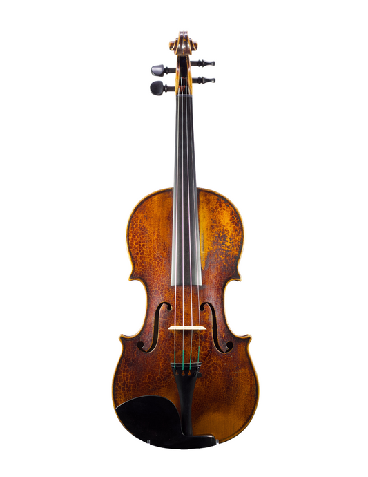 D. NICOLAS VIOLIN