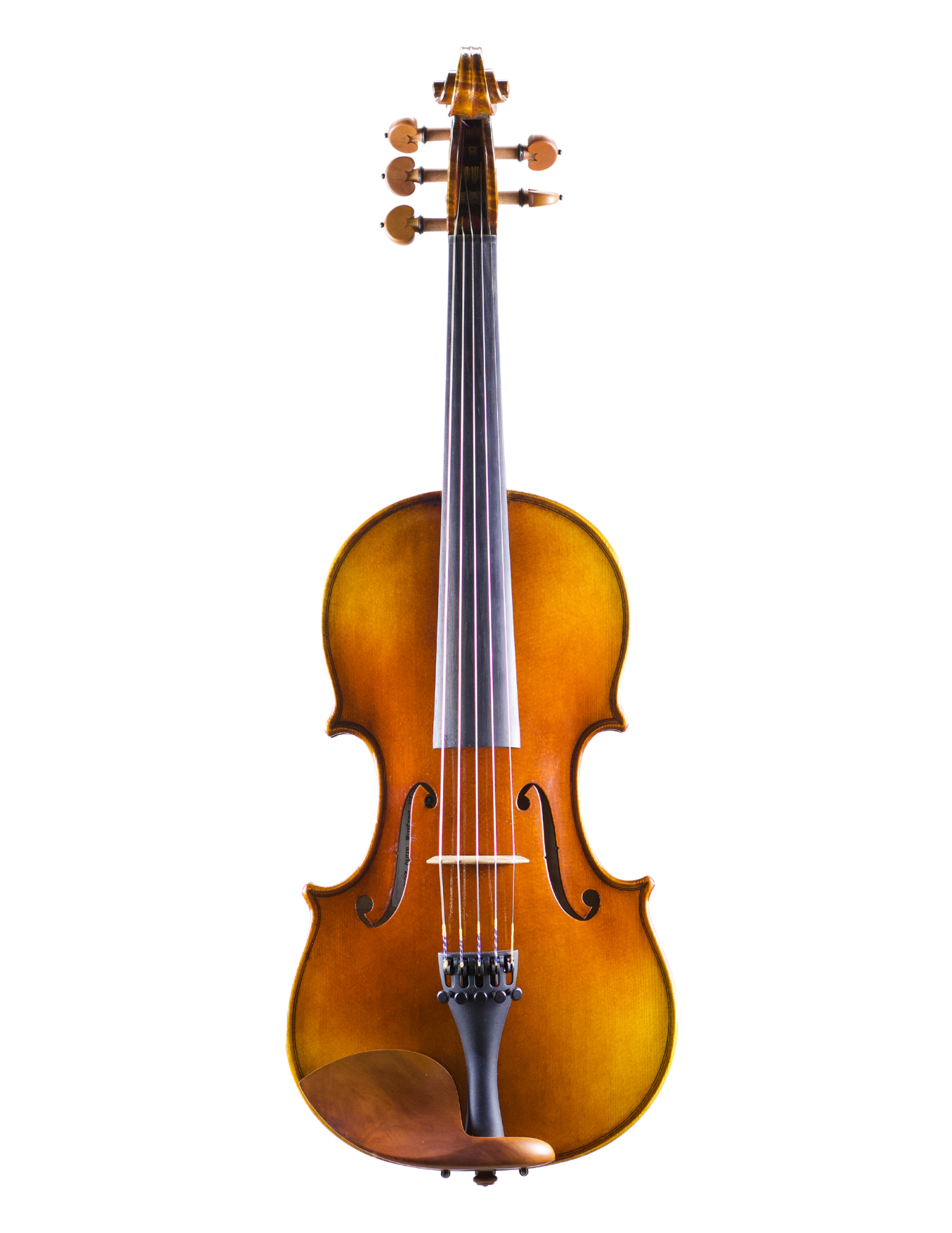 CEDAR MODEL EA 5-STRING VIOLIN – The Violin Shop