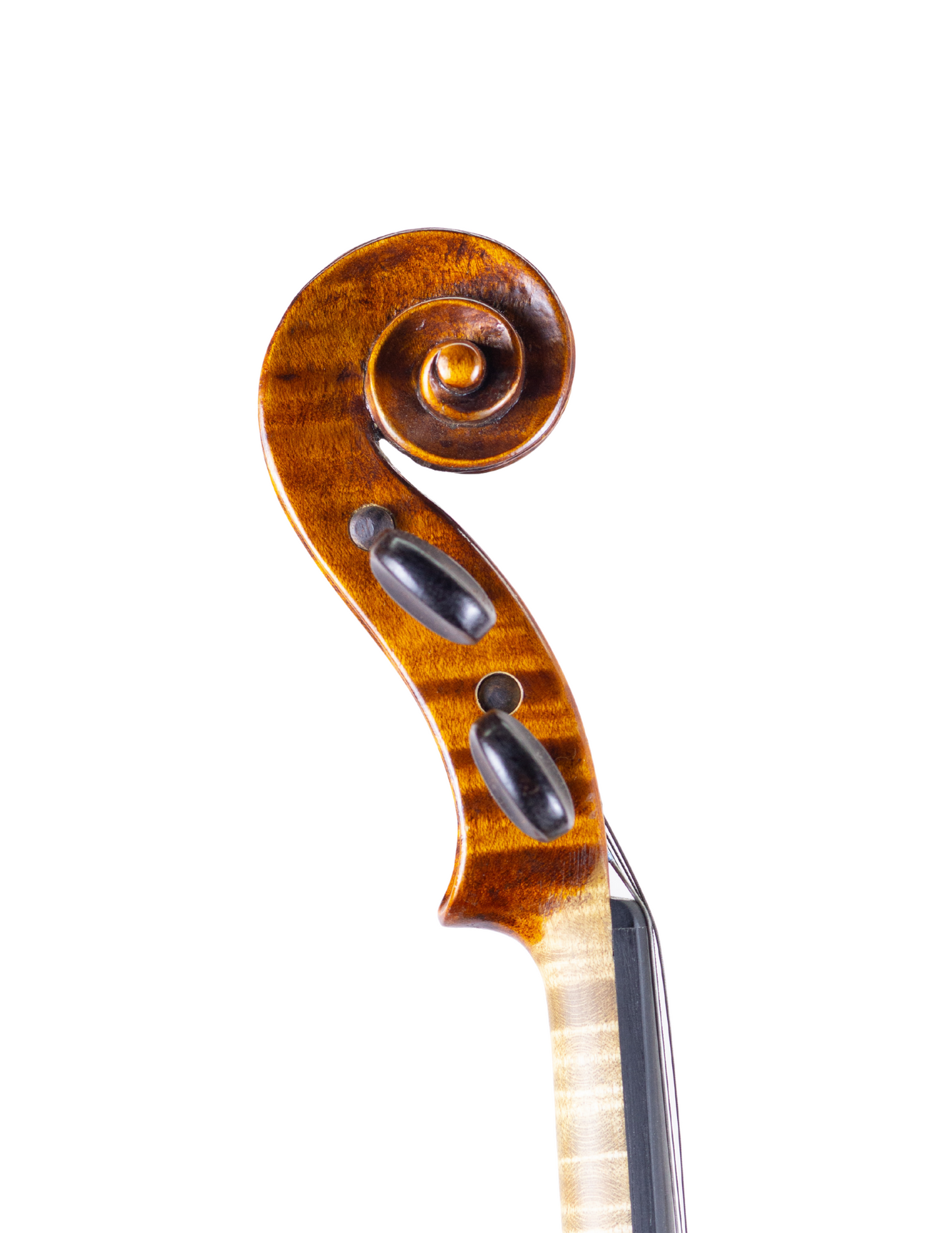 WILLIAM WILKANOWSKI VIOLIN